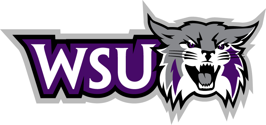 Weber State Wildcats 2012-Pres Secondary Logo v4 diy DTF decal sticker